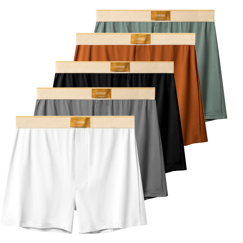 Boyshort Underwear - 4 adet Erkek Ok Pantolon Erkekler